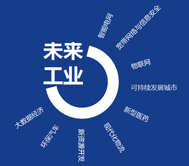 新型工業化理論與實踐